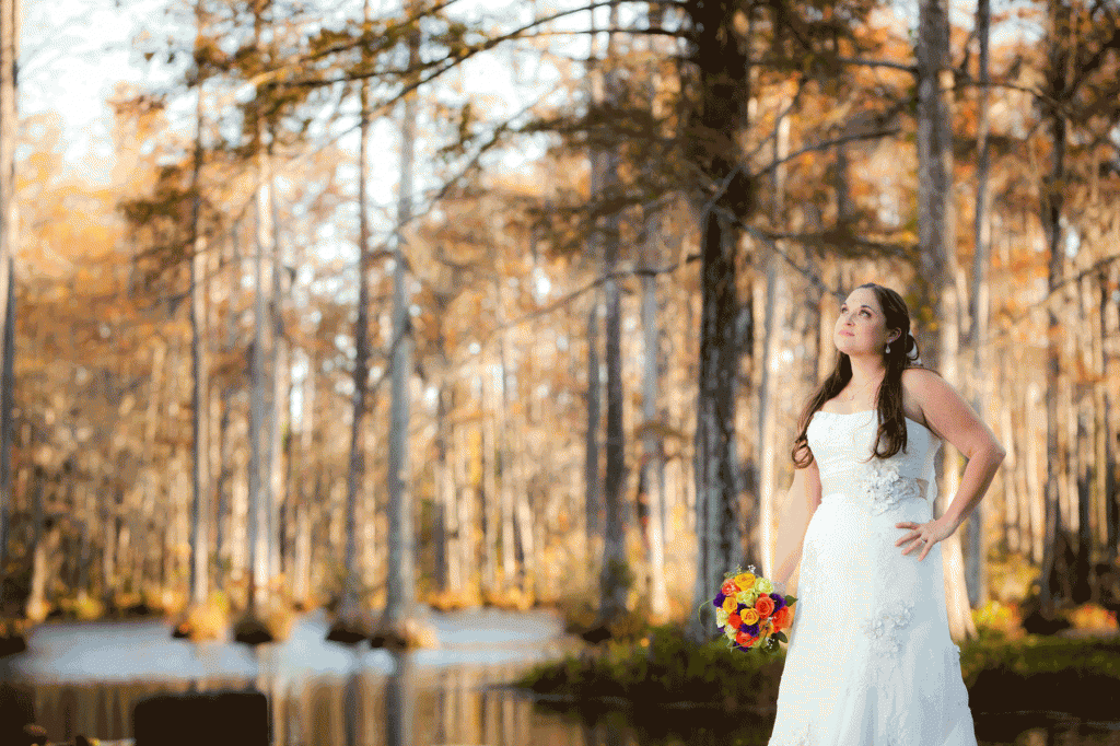 Fall Wedding Inspiration