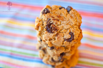 Chewy Coconut Chocolate Chip Cookies