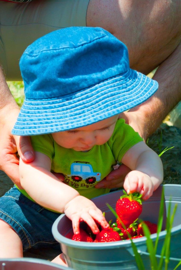 How To Freeze Strawberries