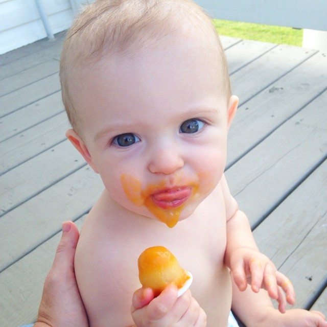 Homemade Baby Food Recipes and Kid Friendly Freezer Meals