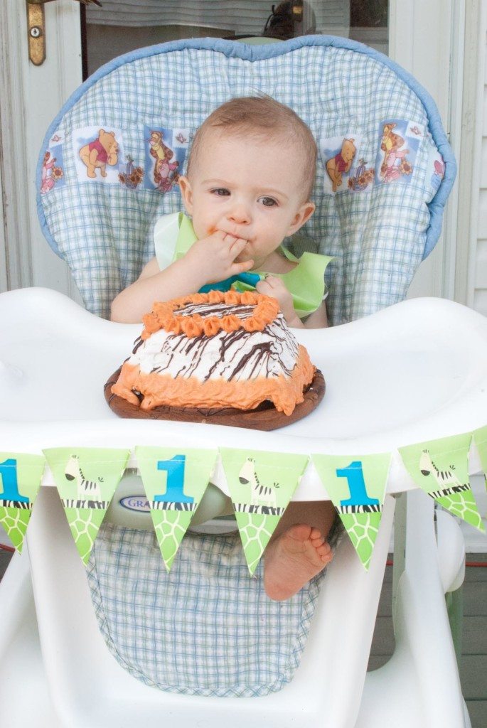 Owen's 1st Birthday Safari Party-26-2