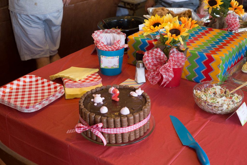 Owen's 2nd Barnyard Birthday Bash and a Pigs In Mud Cake!