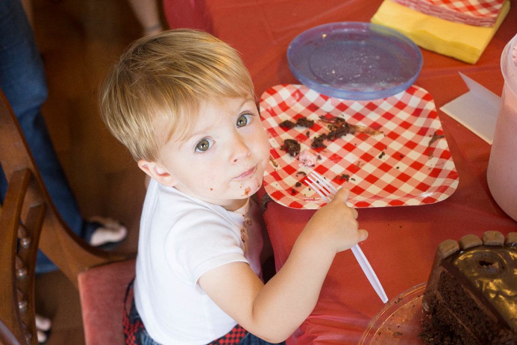 Owen's 2nd Barnyard Birthday Bash and a Pigs In Mud Cake!