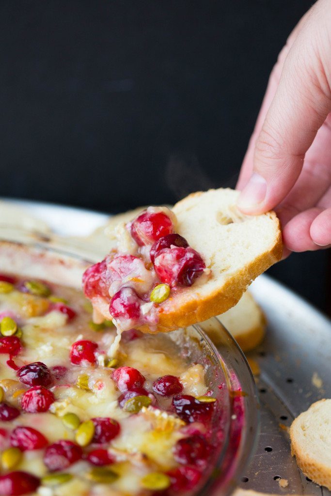 Cranberry Orange Baked Brie Dip | Easy Appetizer Recipe