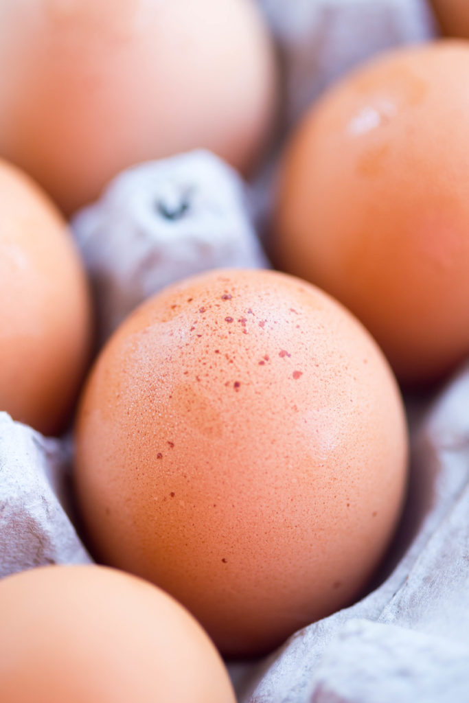 Close up of brown egg with dark brown speckles