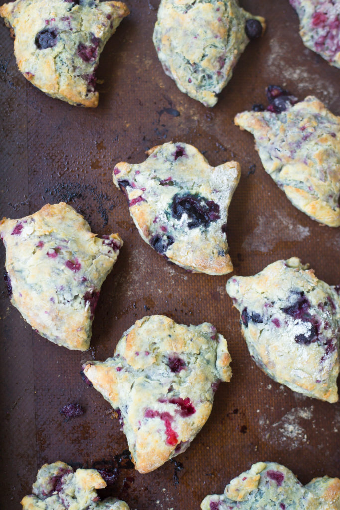 Blueberry biscuits cut out in the shape of ghosts before they're baked